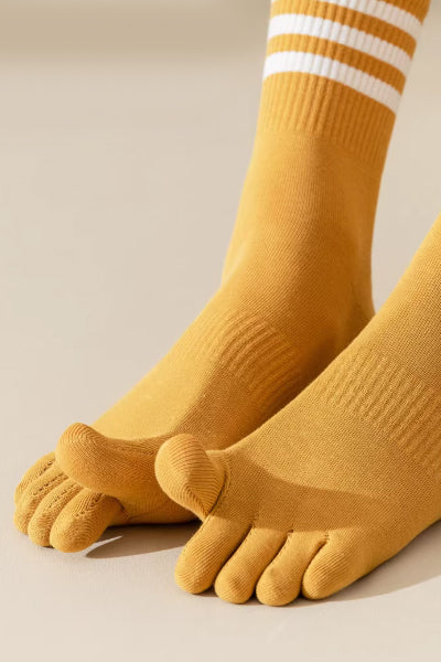 Women's Crew Socks Long Staple Cotton 4 Pairs Toe Separator Striped